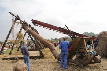 Pressdrescher Buschhoff Dreaschkasten Dreschkasten "Pressdrescher mit Ferneinleger" Firma Buschhoff von 1955 auf dem Ostsee Traktorentreffen in Krokau
