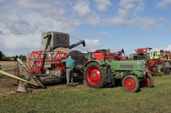 Pressdrescher Buschhoff Dreaschkasten Dreschkasten "Pressdrescher mit Ferneinleger" Firma Buschhoff von 1955 auf dem Ostsee Traktorentreffen in Krokau