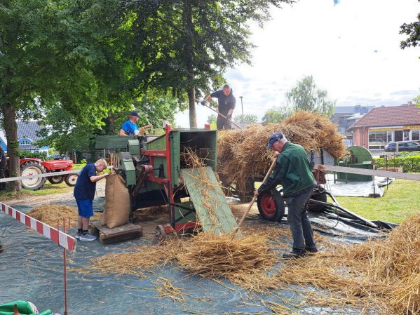 Dreschmaschine Tante Hilde bei der Arbeit