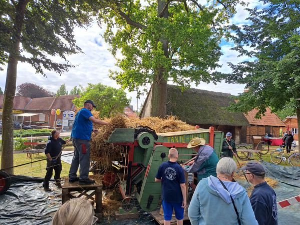 Tante Hilde hart am Arbeiten