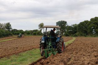 Bulldog mit Ackergerät