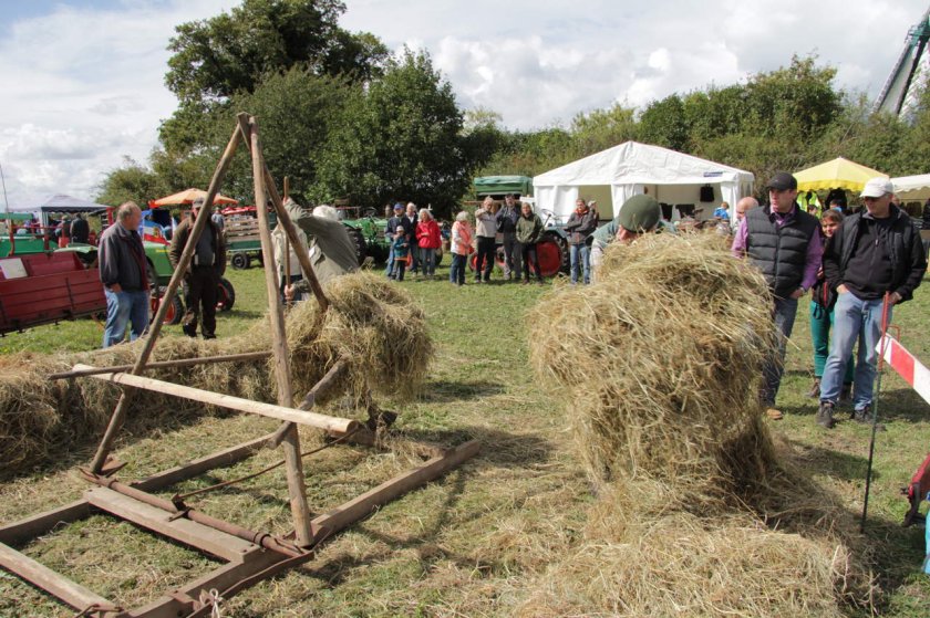 Reutern in Krokau 2010